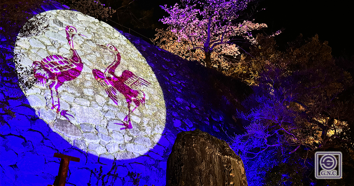 2024年「松坂城跡(松阪公園)夜桜ライトアップ」松坂城主 蒲生氏郷 家紋「対い鶴（むかいづる）」