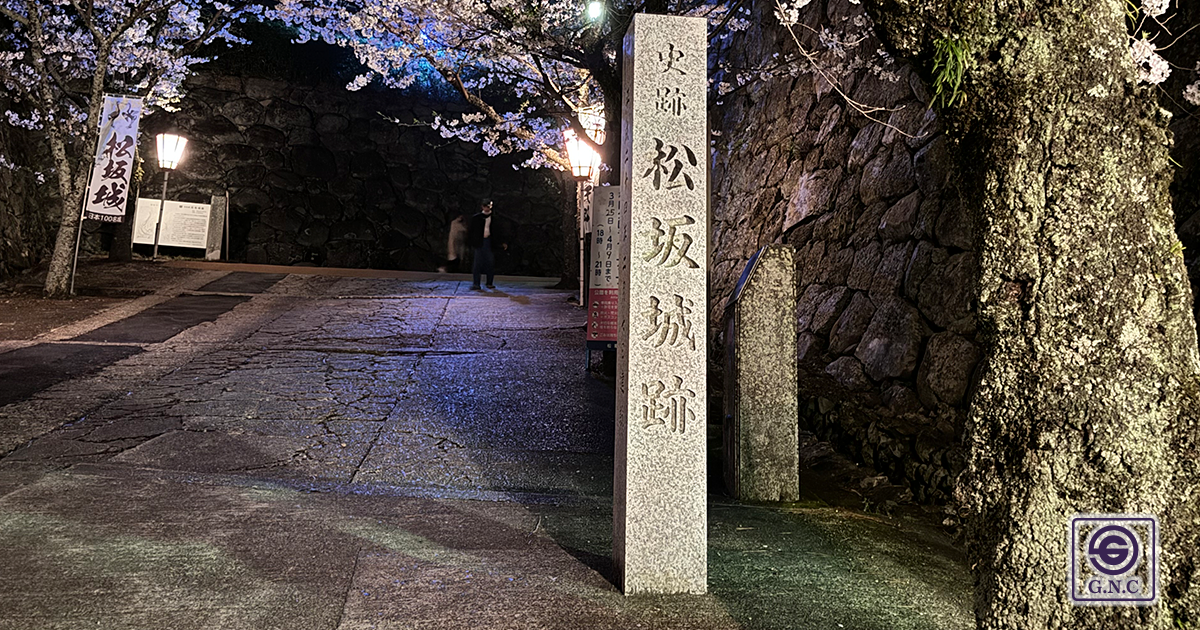2024年「松坂城跡(松阪公園)夜桜ライトアップ」を見に行ってきました！