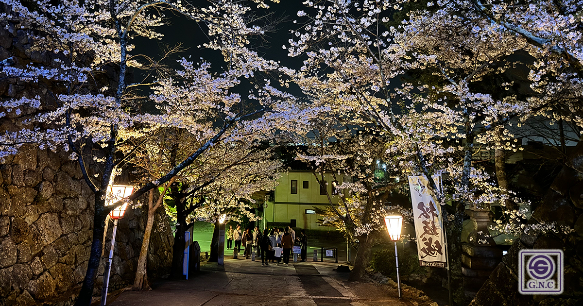 2024年「松坂城跡(松阪公園)夜桜ライトアップ」行灯・雪洞